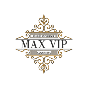 logo max vip